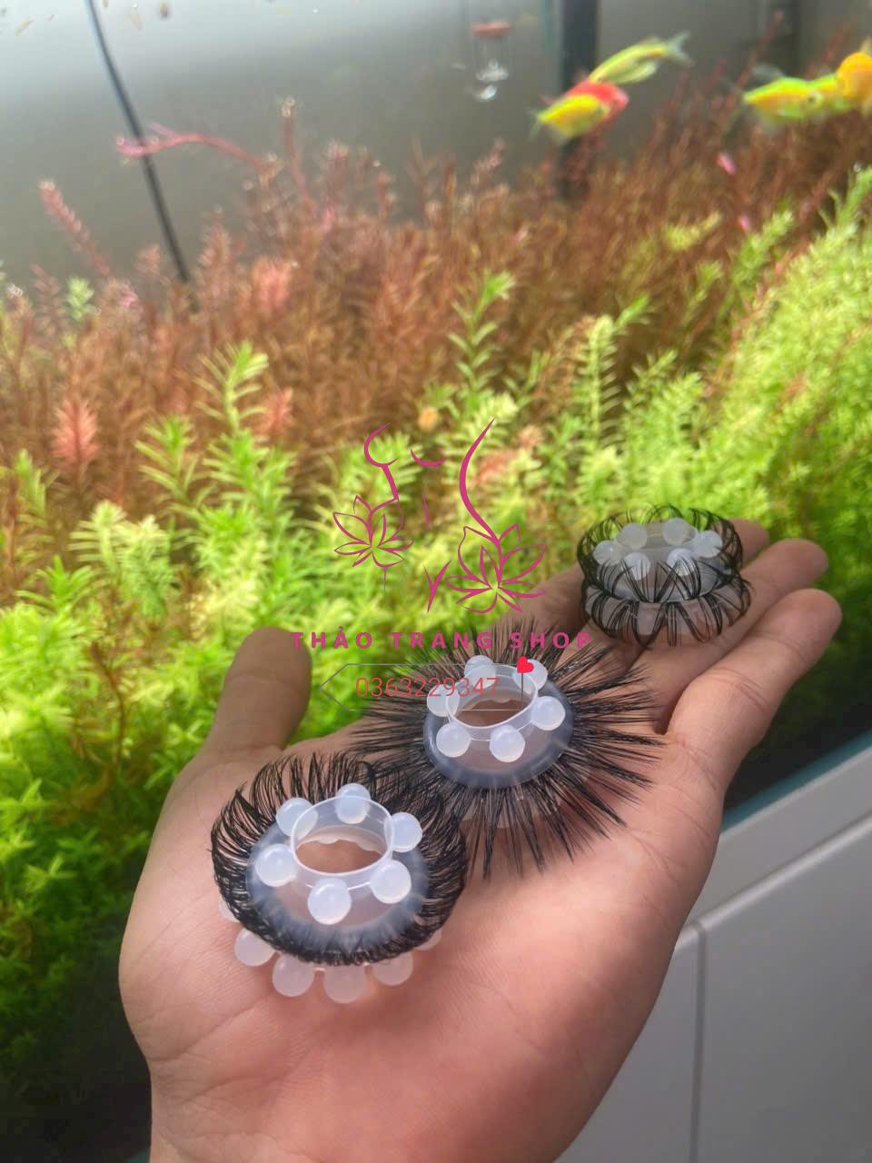 Vòng đeo dương vật lông ngựa 2 tầng